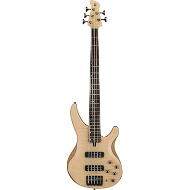 Amazon.co.jp 人気ギフトランキング: エレキベース で、ギフトの設定を